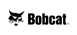 Bobcat